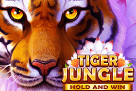 Tiger Jungle