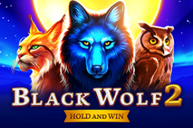 Black Wolf 2