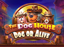 The Dog House – Dog or Alive