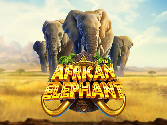 African Elephant™