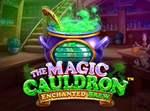 The Magic Cauldron
