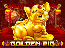 Golden Pig