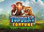 Tundra’s Fortune™