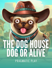 The Dog House – Dog or Alive