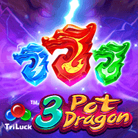 3 Pot Dragons